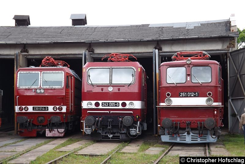 Bild: Von links nach rechts:
230 014-3, 243 005-6, 251 012-1