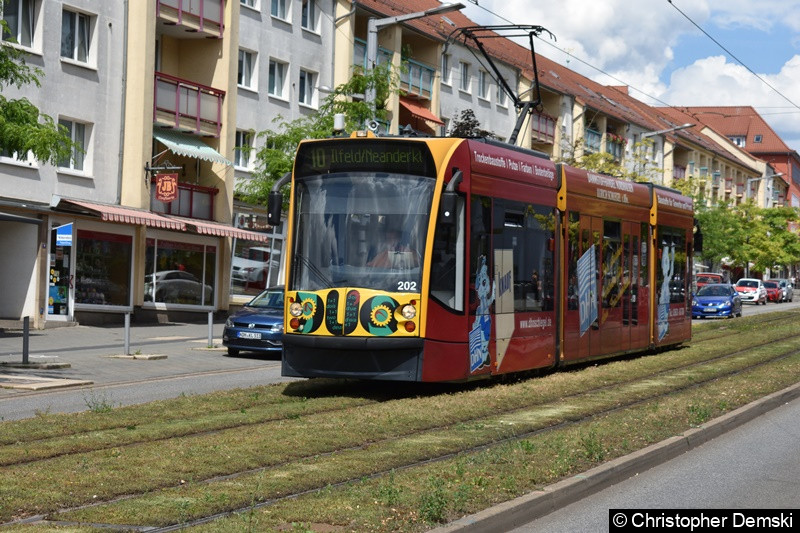 Combino DUO TW 202 zwischen den Haltestellen Rathaus/Kornmarkt und Nordbrand.