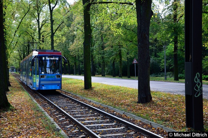 Bild: 1344 als Linie 6 in der Herrenkrugstraße auf dem Weg zur Endstelle Herrenkrug.