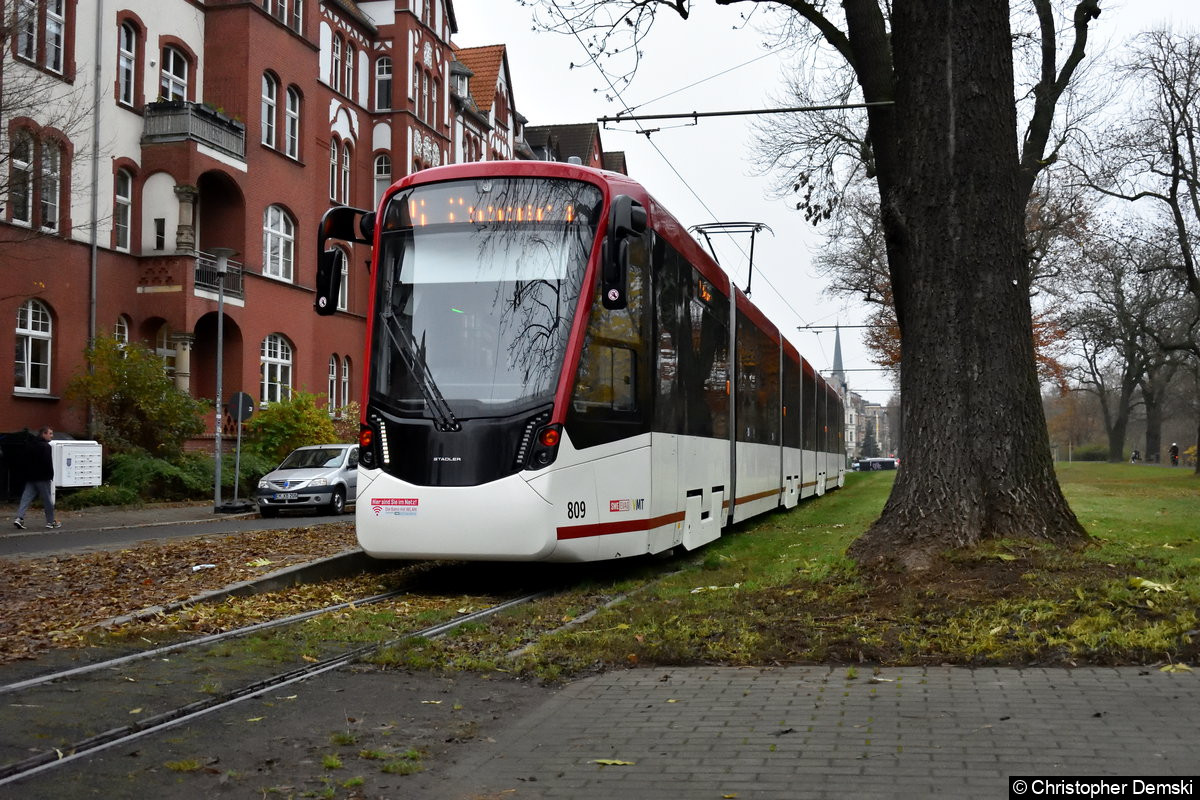 Bild: TW 809 als Linie 5 am Löberwallgraben.