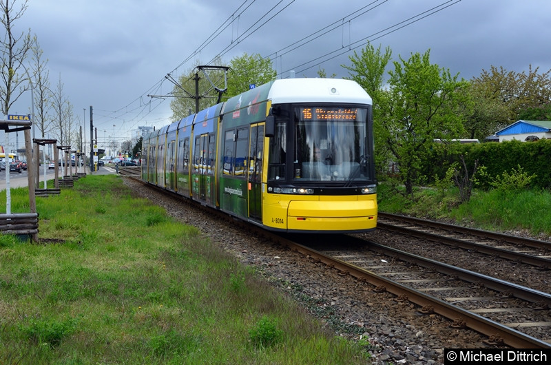 8014 als Linie 16 zwischen den Haltestellen Landsberger Allee/Rhinstr. und Dingelstädter Str. Bild: 8014 als Linie 16 zwischen den Haltestellen Landsberger Allee/Rhinstr. und Dingelstädter Str.