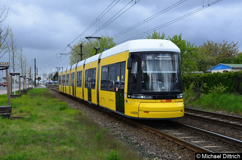 8029 als Linie M6 zwischen den Haltestellen Landsberger Allee/Rhinstr. und Dingelstädter Str. Bild: 8029 als Linie M6 zwischen den Haltestellen Landsberger Allee/Rhinstr. und Dingelstädter Str.