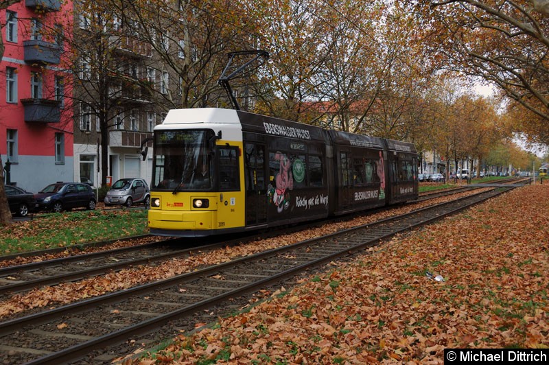 Bild: 2019 als Linie 50 zwischen den Haltestellen Masurenstr. und U Vinetastr.