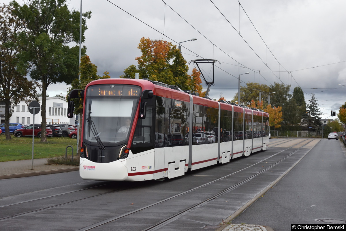 Bild: TW 803 als Linie 1 kurz vor der Haltestelle Mittelhäuser Straße.