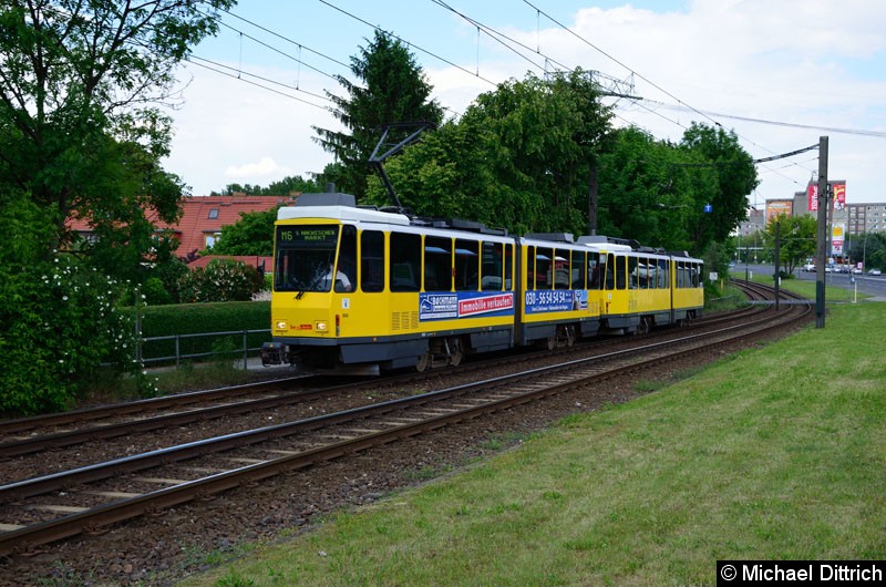 Bild: 6082 + 6120 als Linie M6 kurz vor der Haltestelle Landsberger Allee/Rhinstr.