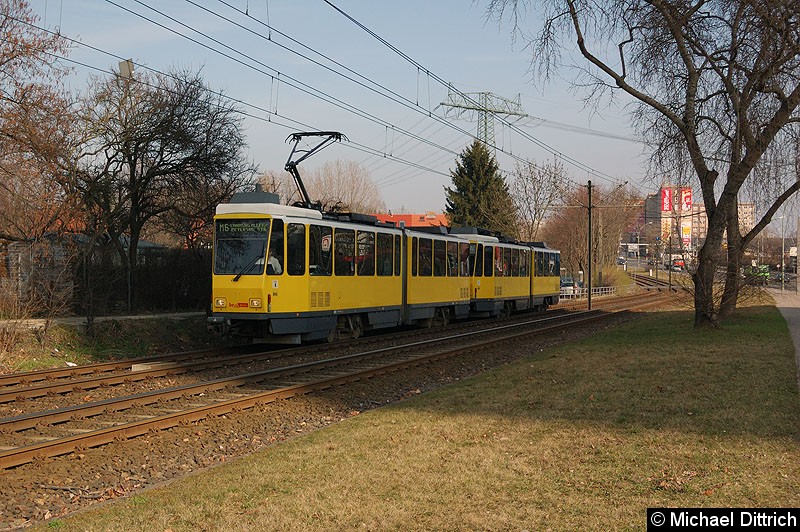 Bild: 6039 + 6104 als Linie M6 kurz vor der Haltestelle Landsberger Allee/Rhinstr.