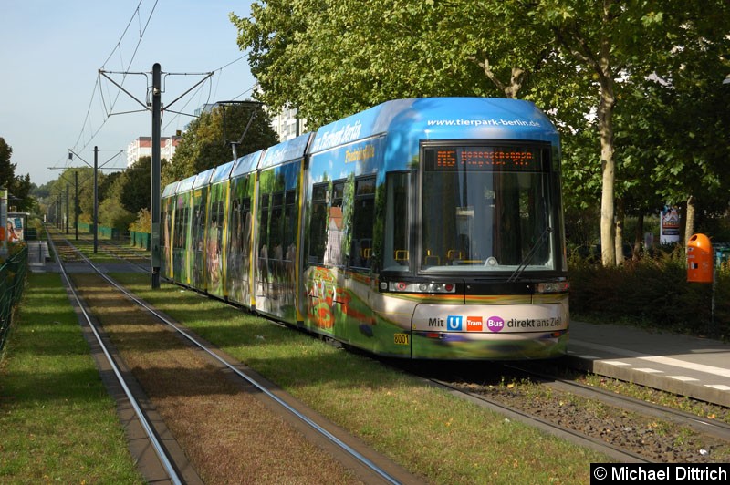 8001 als Linie M5 zwischen den Haltestellen Prerower Platz und Ahrenshooper Str.
Damit ist der erste Flexity Berlin lang mit einer Vollwerbung versehen. Bild: 8001 als Linie M5 zwischen den Haltestellen Prerower Platz und Ahrenshooper Str.
Damit ist der erste Flexity Berlin lang mit einer Vollwerbung versehen.