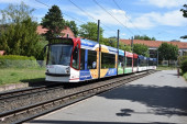 638+644