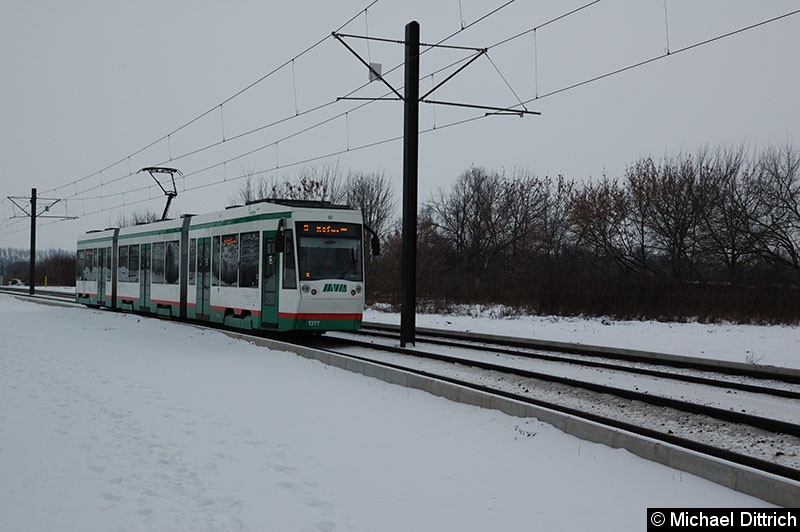 Bild: 1377 als Linie 9 auf dem Weg nach Reform zwischen den Haltestellen Bördepark-Ost und Reform.
