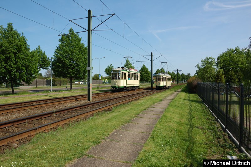 Wagen 70 als Linie 77 anlässlich 30 Jahre Strecke nach Olvenstedt: Hier zwischen den Haltestellen Rennetal und Albert-Vater-Str. wo ihm der Wagen 124 entgegen kommt. Bild: Wagen 70 als Linie 77 anlässlich 30 Jahre Strecke nach Olvenstedt: Hier zwischen den Haltestellen Rennetal und Albert-Vater-Str. wo ihm der Wagen 124 entgegen kommt.