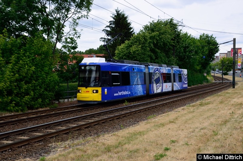 Bild: 1599 als Linie 16 kurz vor der Haltestelle Landsberger Allee/Rhinstr.