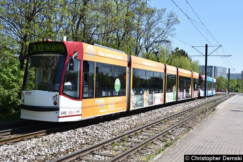 TW 646+709 als Linie 3 in Bereich Nordhäuser Straße auf den Weg zur Haltestelle Thüringen-Park. Bild: TW 646+709 als Linie 3 in Bereich Nordhäuser Straße auf den Weg zur Haltestelle Thüringen-Park.