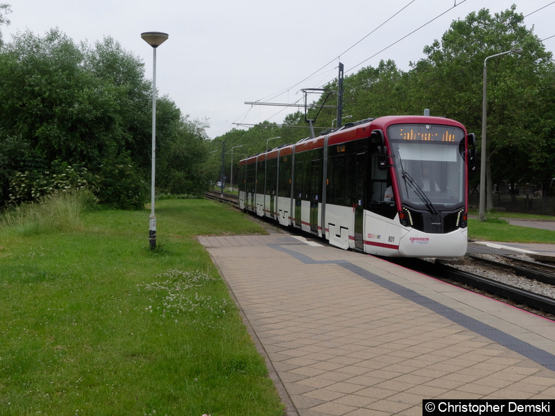 TW 801 als Fahrschule bei der Einfahrt in die Haltestelle Färberwaidweg.