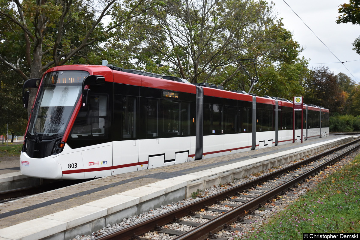 Bild: TW 803 als Linie 1 an der Thüringenhalle.