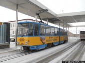 306