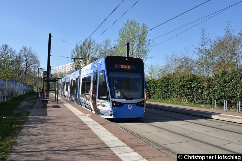 Bild: TW 607 als Linie 1 an der Haltestelle Rügener Straße.