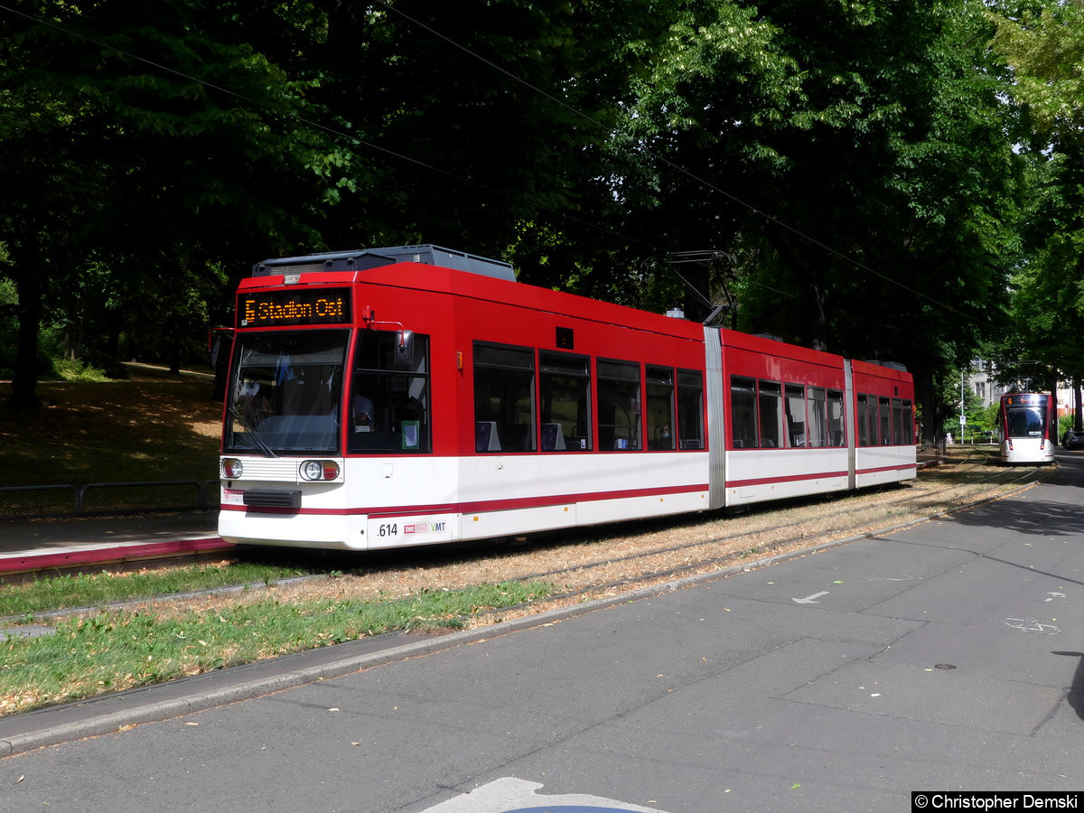 Bild: TW 614 als Linie 6 an der Haltestelle Robert-Koch-Straße.