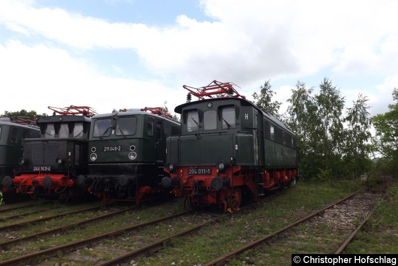 Bild: Von links nach rechts:
244 143-4, 211 049-2, 204 011-1