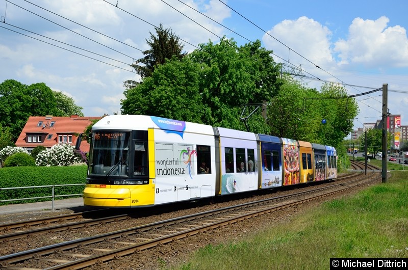 Bild: 8014 als Linie M6 kurz vor der Haltestelle Landsberger Allee/Rhinstr.