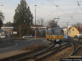 306