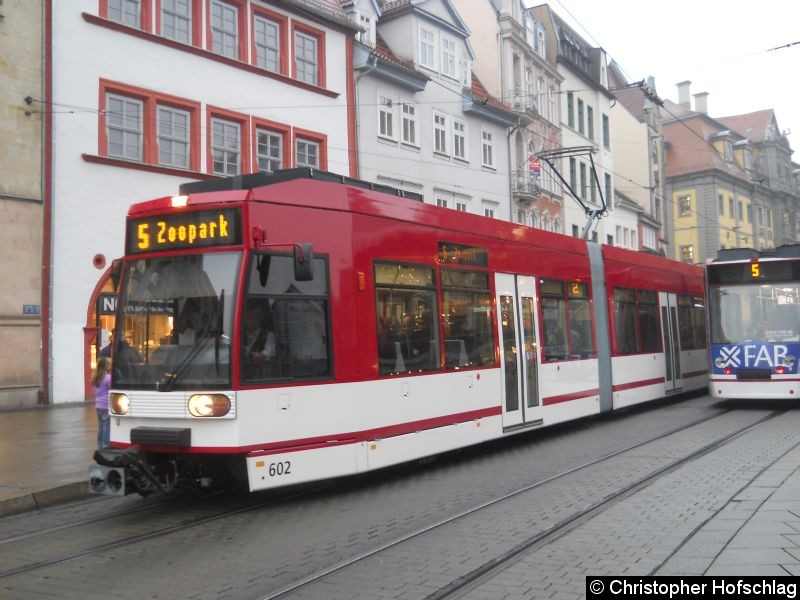 Bild: TW 602 auf der Linie 5 am Anger.