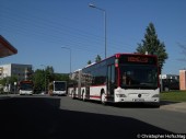 Citaro Treffen