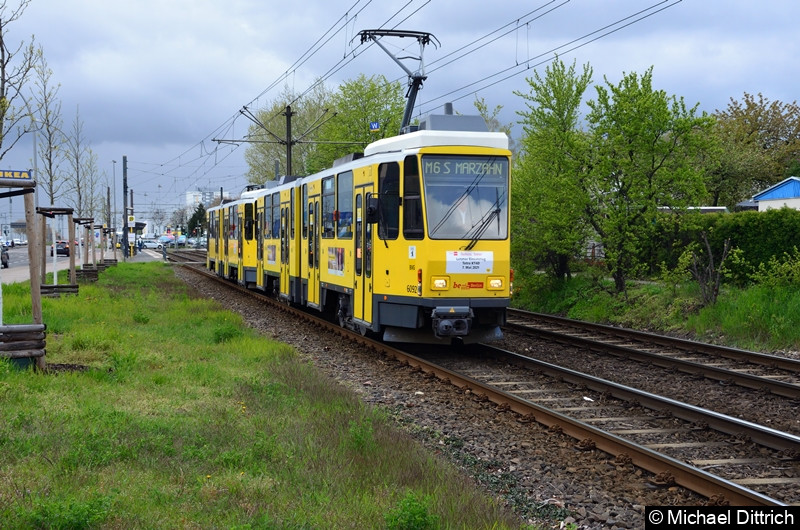 Bild: 6092 + 6160 als Linie M6 zwischen den Haltestellen Landsberger Allee/Rhinstr. und Dingelstädter Str.
Letzter Einsatztag der KT4D in Berlin.