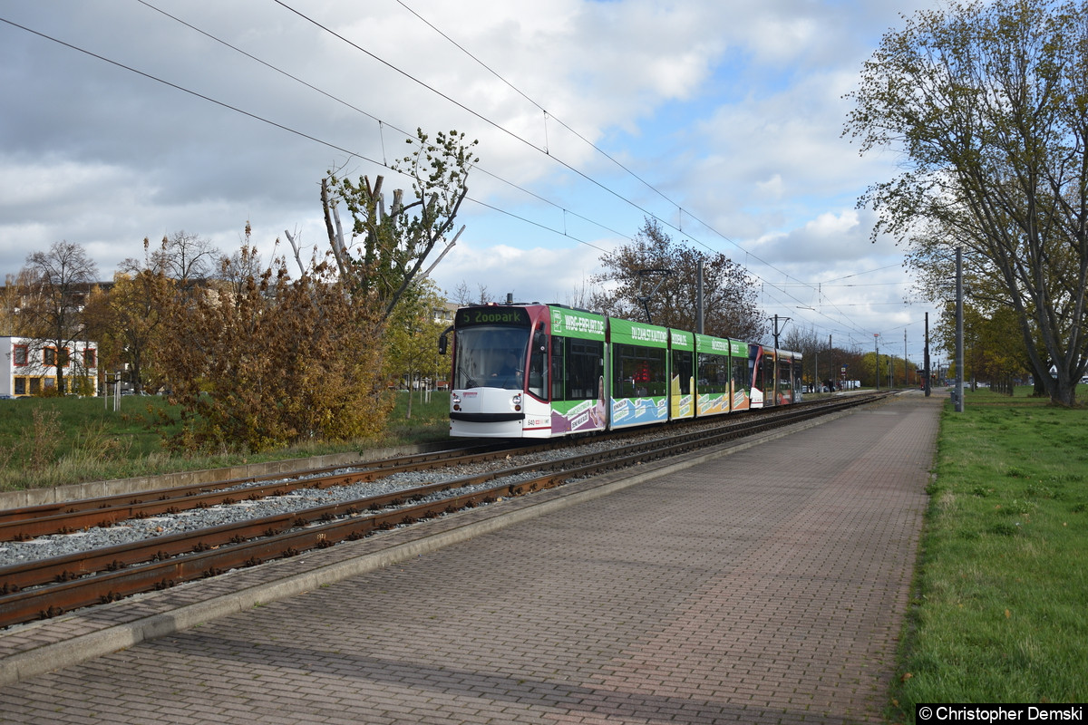 Tw 640+714 als Linie 5 zwischen den Haltestellen August-Fröhlich-Straße und Roter Berg.