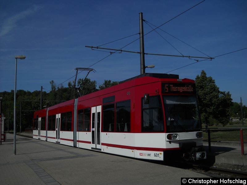 Bild: TW 601 auf der Linie 5 am Zoopark.