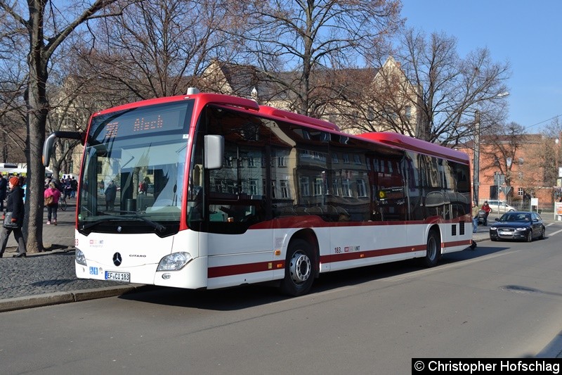 Bild: Wagen 183 als Linie 90 nach Alach am Domplatz.