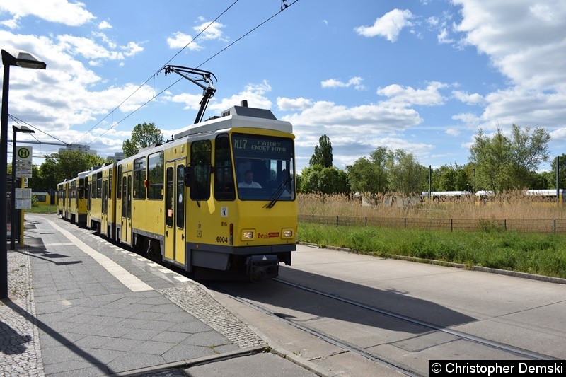 Bild: TW 6004+6041 als Linie M17 an der Endstelle Falkenberg.