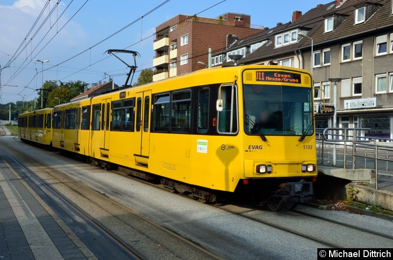 Bild: 5103 + 5144 als Linie U11 in der Haltestelle Buerer Straße in Gelsenkirchen.