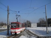 313