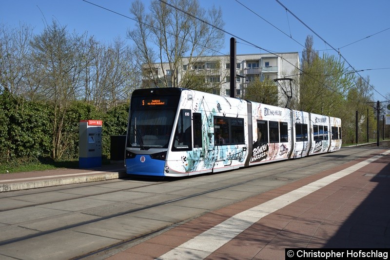 Bild: TW 610 als Linie 5 an der Haltestelle Rügener Straße.