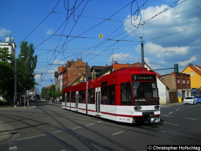 Bild: TW 601 auf der Linie 5 in der Salinenstraße.