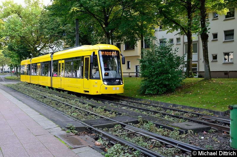 Bild: 8009 nun als Linie 101 (diese Linie ist mit der Linie 106 gekoppelt) in Höhe der Haltestelle Phillipusstift.
Hier macht der Wagen Pause.