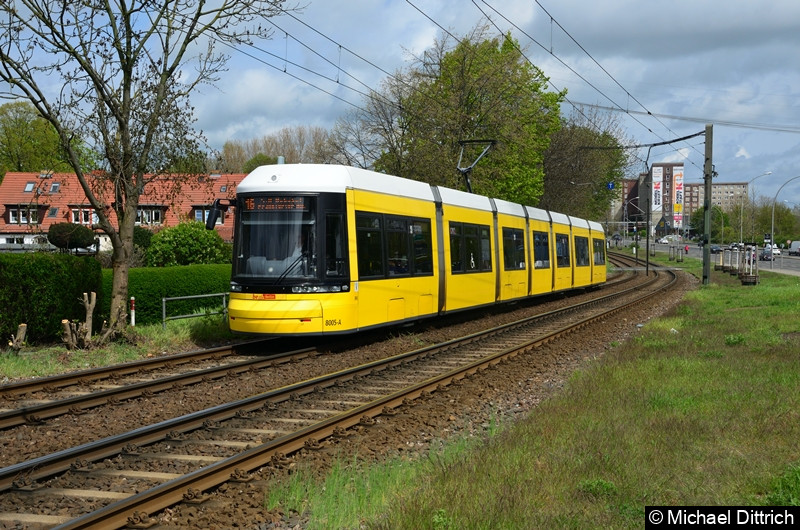 8005 als Linie 16 zwischen den Haltestellen Landsberger Allee/Rhinstr. und Dingelstädter Str. Bild: 8005 als Linie 16 zwischen den Haltestellen Landsberger Allee/Rhinstr. und Dingelstädter Str.