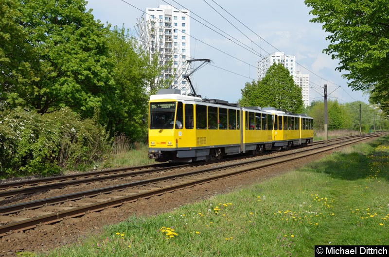 Bild: 6064 + 6034 als Linie M6 kurz vor der Haltestelle Marzahner Prommenade.