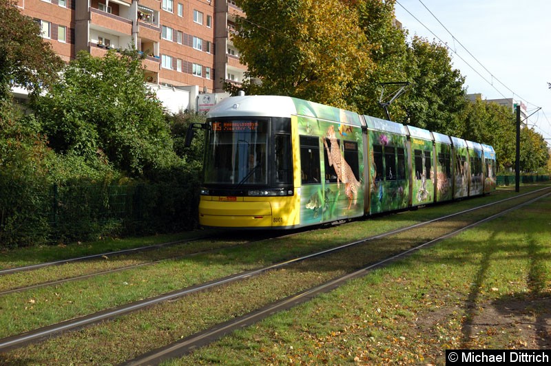 8001 als Linie M5 zwischen den Haltestellen Prerower Platz und Ahrenshooper Str.
Damit ist der erste Flexity Berlin lang mit einer Vollwerbung versehen. Bild: 8001 als Linie M5 zwischen den Haltestellen Prerower Platz und Ahrenshooper Str.
Damit ist der erste Flexity Berlin lang mit einer Vollwerbung versehen.