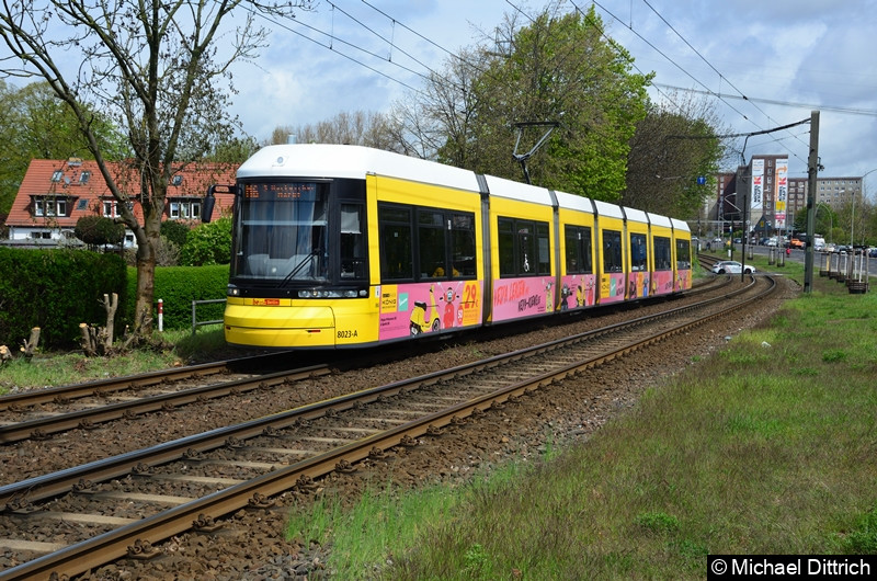8023 als Linie M6 zwischen den Haltestellen Landsberger Allee/Rhinstr. und Dingelstädter Str. Bild: 8023 als Linie M6 zwischen den Haltestellen Landsberger Allee/Rhinstr. und Dingelstädter Str.