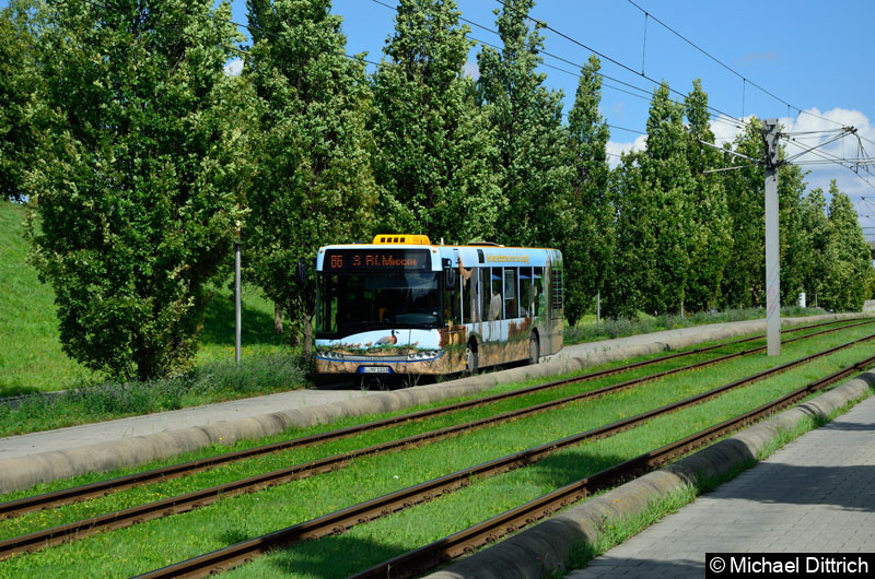 Bild: 11103 als Linie 86 kurz vor dem S-Bahnhof Messe.