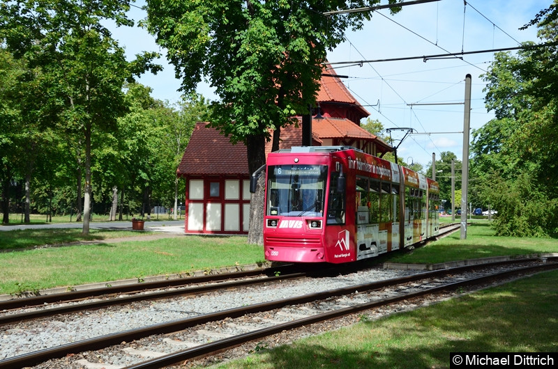 Bild: 1350 als Linie 6 im Herrenkrug.