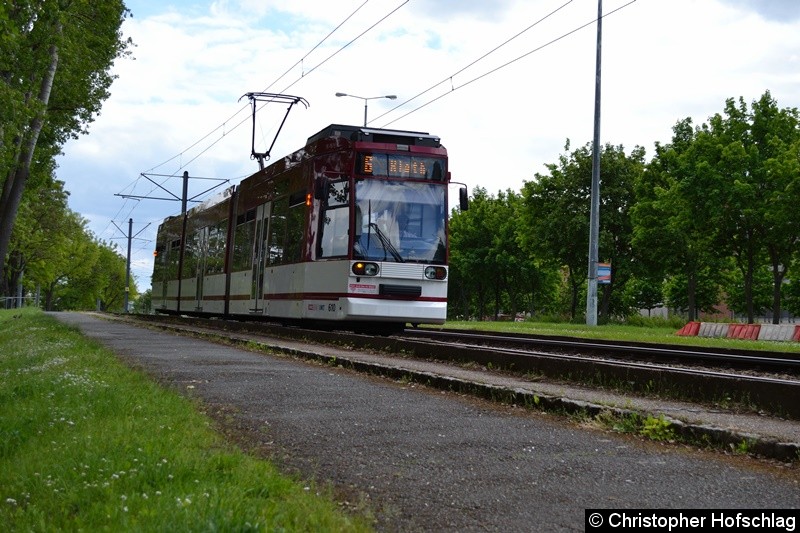 TW 610 als Linie 6 in Richtung Rieth, höhe Nordhäuser Straße kurz vor der Haltesteller Berliner Straße. Bild: TW 610 als Linie 6 in Richtung Rieth, höhe Nordhäuser Straße kurz vor der Haltesteller Berliner Straße.