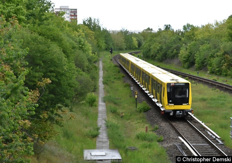 Bild: 1033-4 + 1030 als U5 bei der Einfahrt in den U-Bahnhof Kienberg, Gärten der Welt.