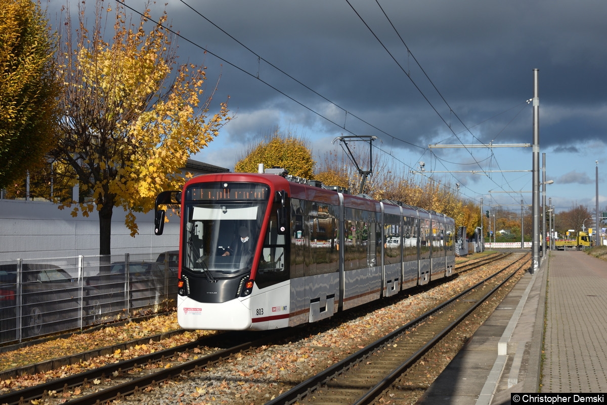 Tw 803 als Linie 5 im Bereich Stotternheimer Straße, kurz vor der Haltestelle An der Lache.